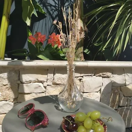 La Petite Nicoise Au Jacuzzi A 3 Min De La Nice